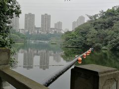 -重庆彩云湖湿地公园