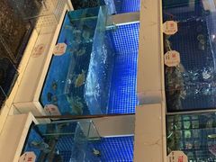 -益利大酒楼(井岸店)