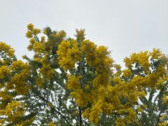 -桤木河湿地公园