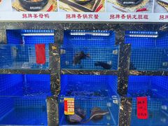 -鑫鸿达·海鲜闽菜热炒小馆(中山路店)