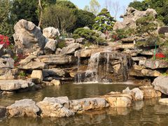 -东莞植物园
