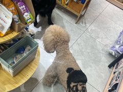 -喜洋洋宠物医院(震川路总店)