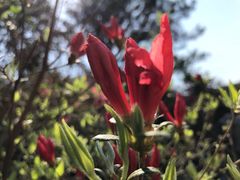 -木兰云雾山