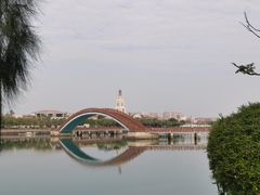 -五缘湾湿地公园