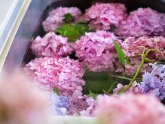 -花·fleur古董西餐厅(西城夜未央店)