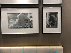 -PAUL LAFAYET 法式甜品(港汇广场店)
