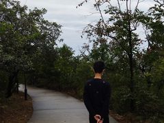-府君山公园