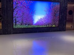 -静之湖湖畔餐厅