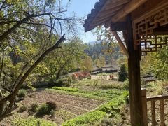 -塔川景区