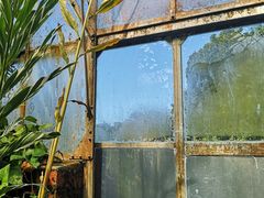-墨尔本皇家植物园