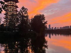 -洋湖国家湿地公园