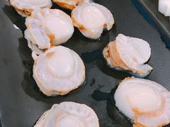 -拾下卜卜贝•海鲜火锅