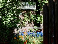 -斯多格书乡(北京大学畅春园店)