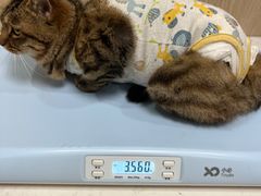 -恒幸动物医院·急重症转诊中心·神经内外科·CT核磁