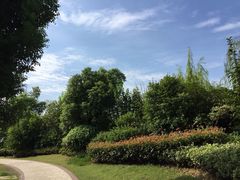 常州武进九洲喜来登酒店-常州武进九洲喜来登酒店