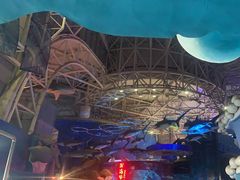 -烟台海昌鲸鲨海洋公园