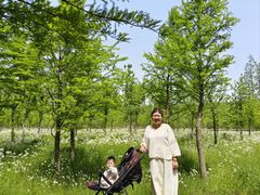 -黄海国家森林公园