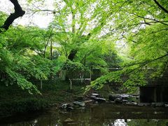 -中国茶叶博物馆(双峰馆区)