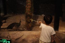 -酷嗒动物文化乐园(cutezoo西溪乐天城店)