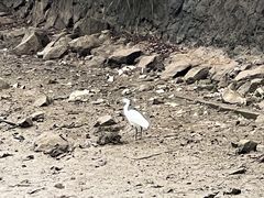-长洲岛都市农业公园