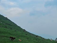 -灵山
