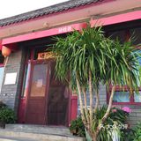 快去下苑画家村偶遇可爱小猫咪，再吃吃家常菜吧