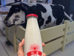 -红星前进面包牛奶公司(君太店)