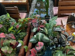 -丽江庭院之爱在路上(西单店)