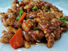 -域乐楼清真饭庄(华北路店)