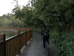 -大屏嶂森林公园