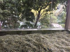 -融汇温泉