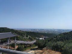 -大青山野生动物园