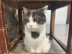 -塞巴斯汀SEBASTIAN专业美发店