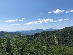 -大岭沟猕猴桃谷风景区