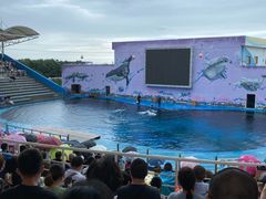 -北戴河圣蓝海洋公园