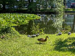 -北海道厅旧本厅舍(旧本庁舎)