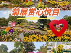 -南山植物园