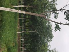 -天津东丽湖风景区