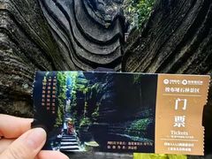 -梭布垭石林景区