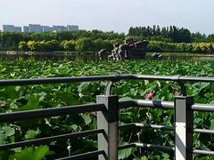 -大兴滨河森林公园