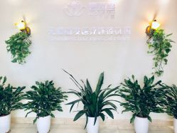 -碧莲盛·不剃发植发