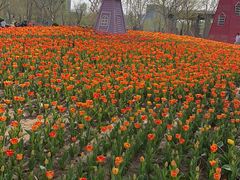 -廊坊文化艺术中心