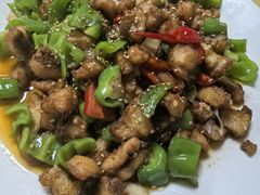 -煲来饱去冷水鱼