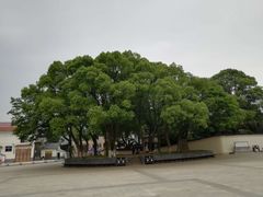 -西园北里-李立故居