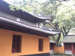-普陀山风景名胜区-法雨禅寺