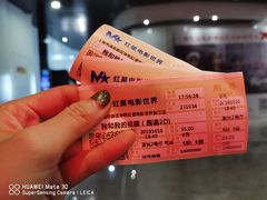 -红星电影世界上海张江绿地店