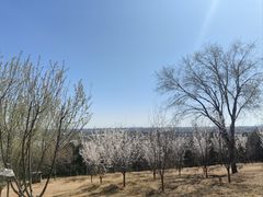 -北京西山国家森林公园