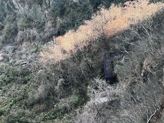 -海上云台山景区