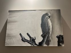 -一个差评成就的纹眉店