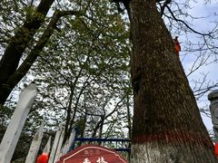 -终南山南五台景区